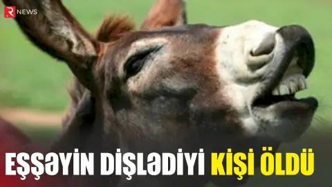 Azərbaycanda eşşəyin dişlədiyi kişi öldü - RTV
