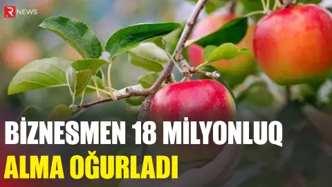 Biznesmen 18 milyonluq alma oğurladı - RTV
